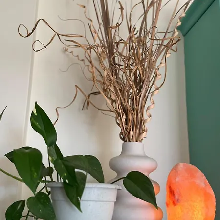 아파트 Coral Sarandë