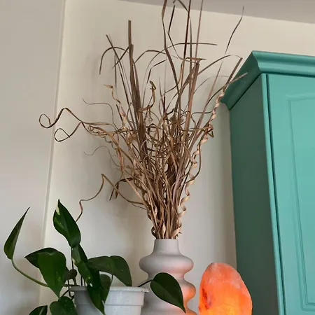 Coral *